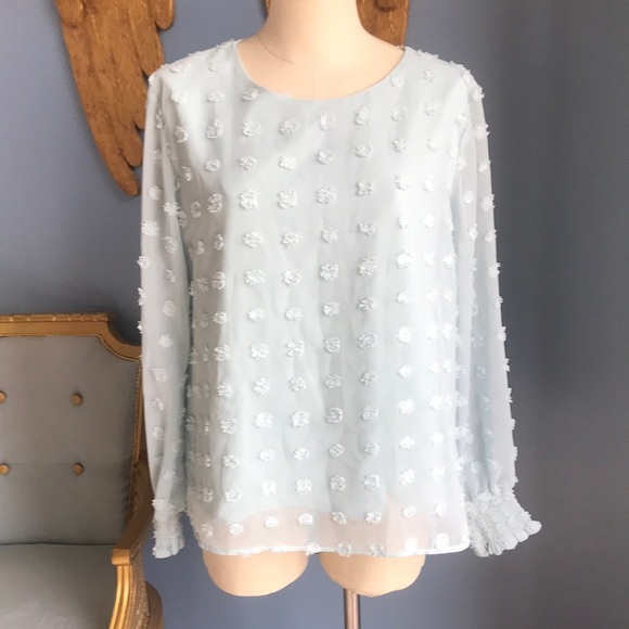 NWOT aqua blue sheer mesh lined Swiss dot long sleeves pull over top size L - Picture 1 of 11